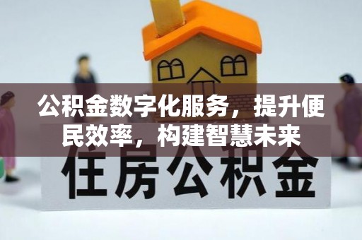 洞口公积金数字化服务，提升便民效率，构建智慧未来