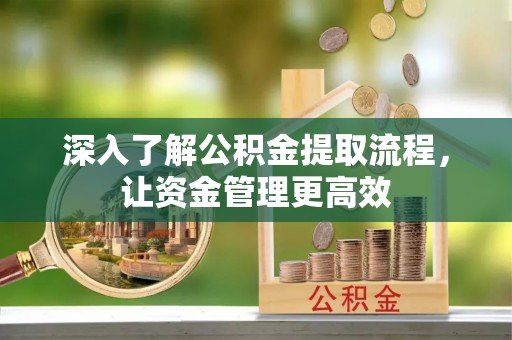 洞口深入了解公积金提取流程，让资金管理更高效