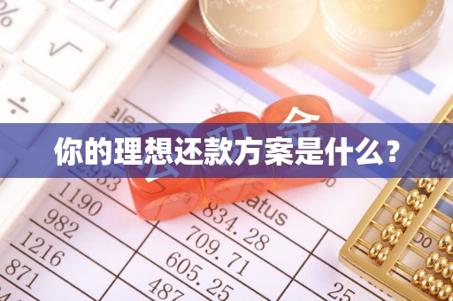 洞口你的理想还款方案是什么？