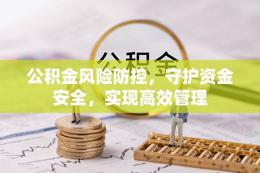 洞口公积金风险防控，守护资金安全，实现高效管理