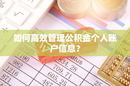 洞口如何高效管理公积金个人账户信息？