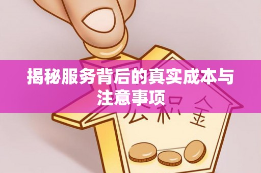 洞口揭秘服务背后的真实成本与注意事项