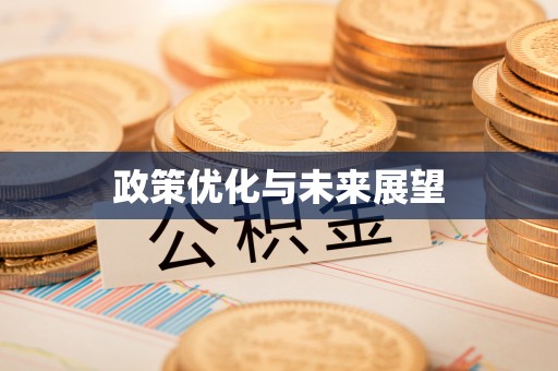 洞口政策优化与未来展望
