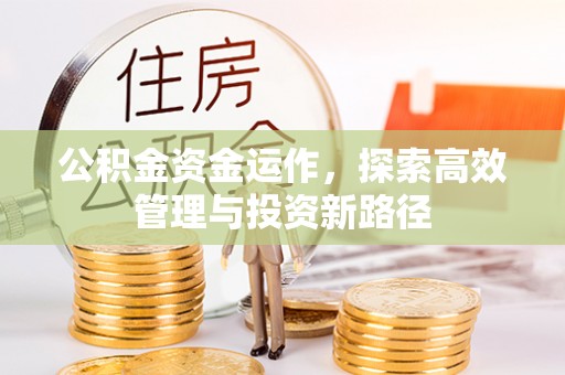 洞口公积金资金运作，探索高效管理与投资新路径