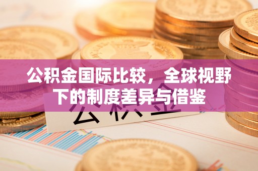 洞口公积金国际比较，全球视野下的制度差异与借鉴