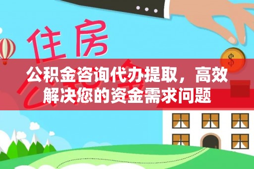 洞口公积金咨询代办提取，高效解决您的资金需求问题