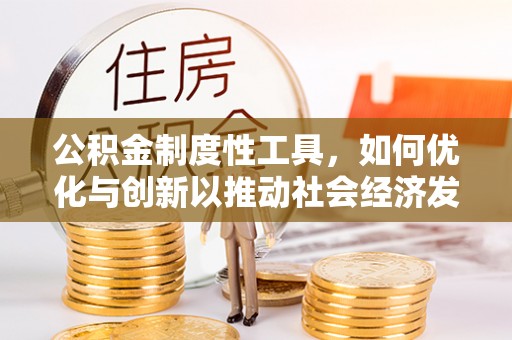 洞口公积金制度性工具，如何优化与创新以推动社会经济发展