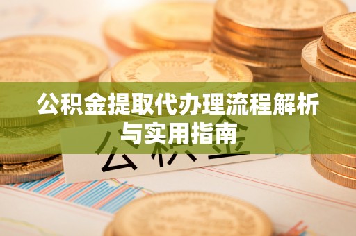 洞口公积金提取代办理流程解析与实用指南