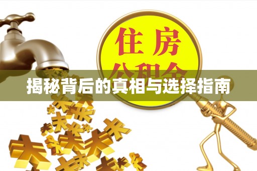 洞口揭秘背后的真相与选择指南