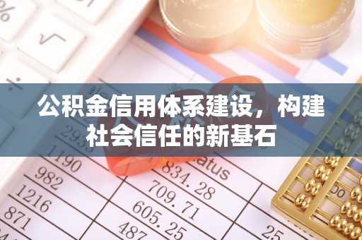 洞口公积金信用体系建设，构建社会信任的新基石