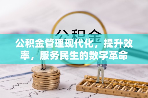 洞口公积金管理现代化，提升效率，服务民生的数字革命