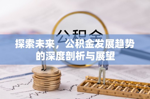 洞口探索未来，公积金发展趋势的深度剖析与展望