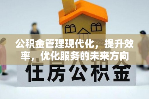 洞口公积金管理现代化，提升效率，优化服务的未来方向