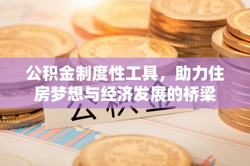 洞口公积金制度性工具，助力住房梦想与经济发展的桥梁