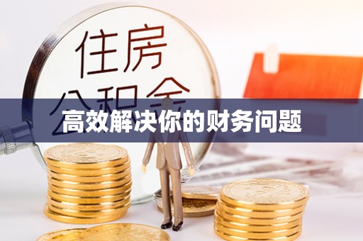 洞口高效解决你的财务问题