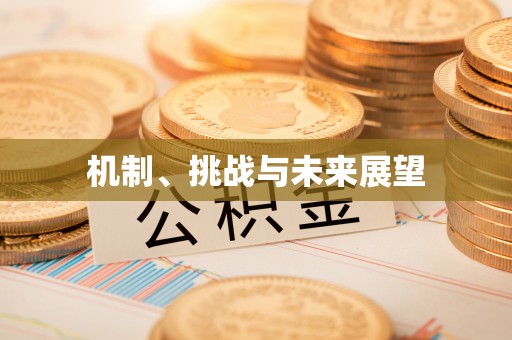 洞口机制、挑战与未来展望