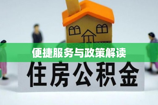 洞口便捷服务与政策解读
