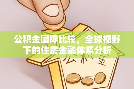 洞口公积金国际比较，全球视野下的住房金融体系分析